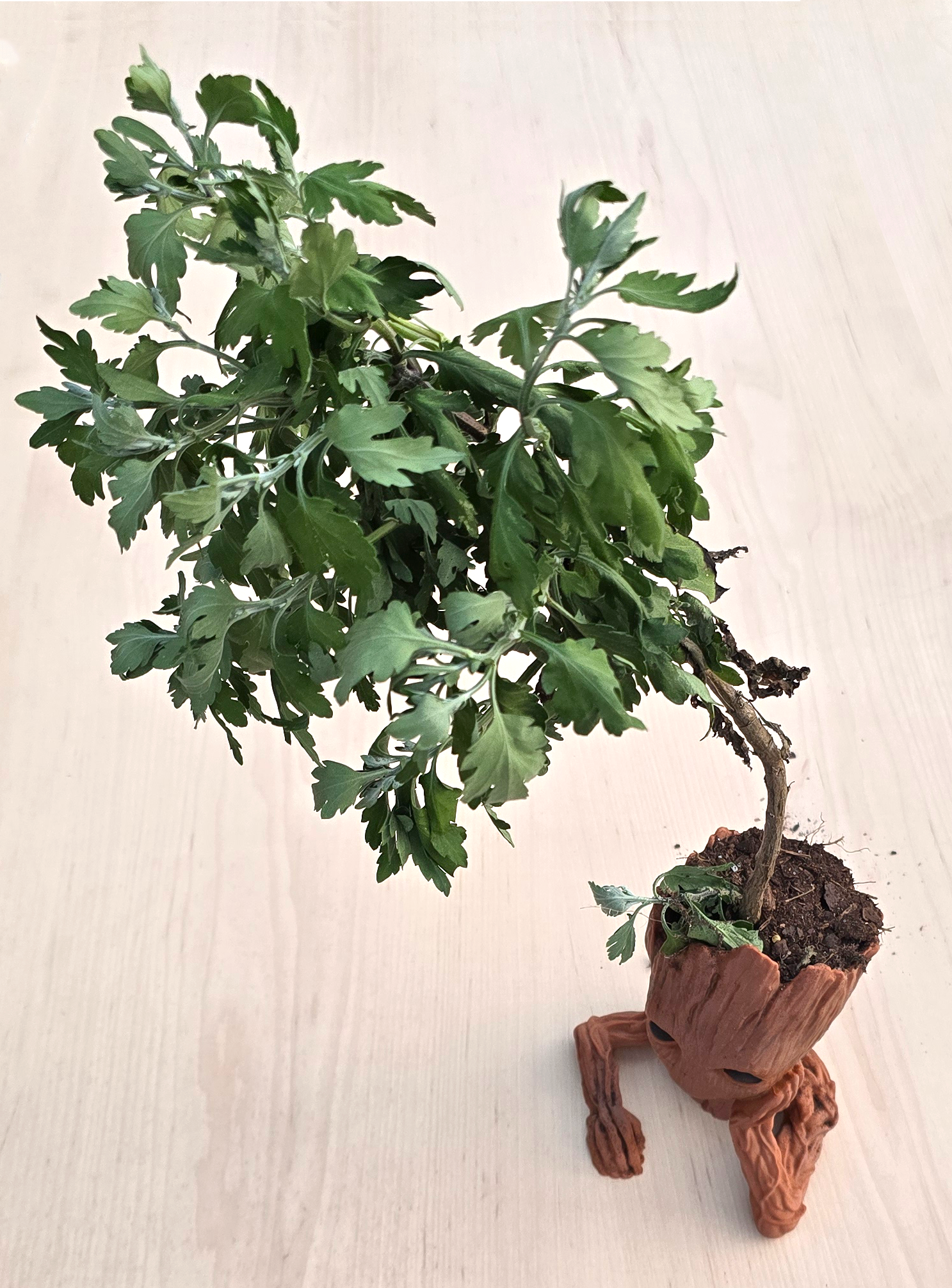 groot bonsai tree Groot Planter – TICSID